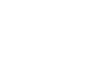 Discover Gymnastics Logo